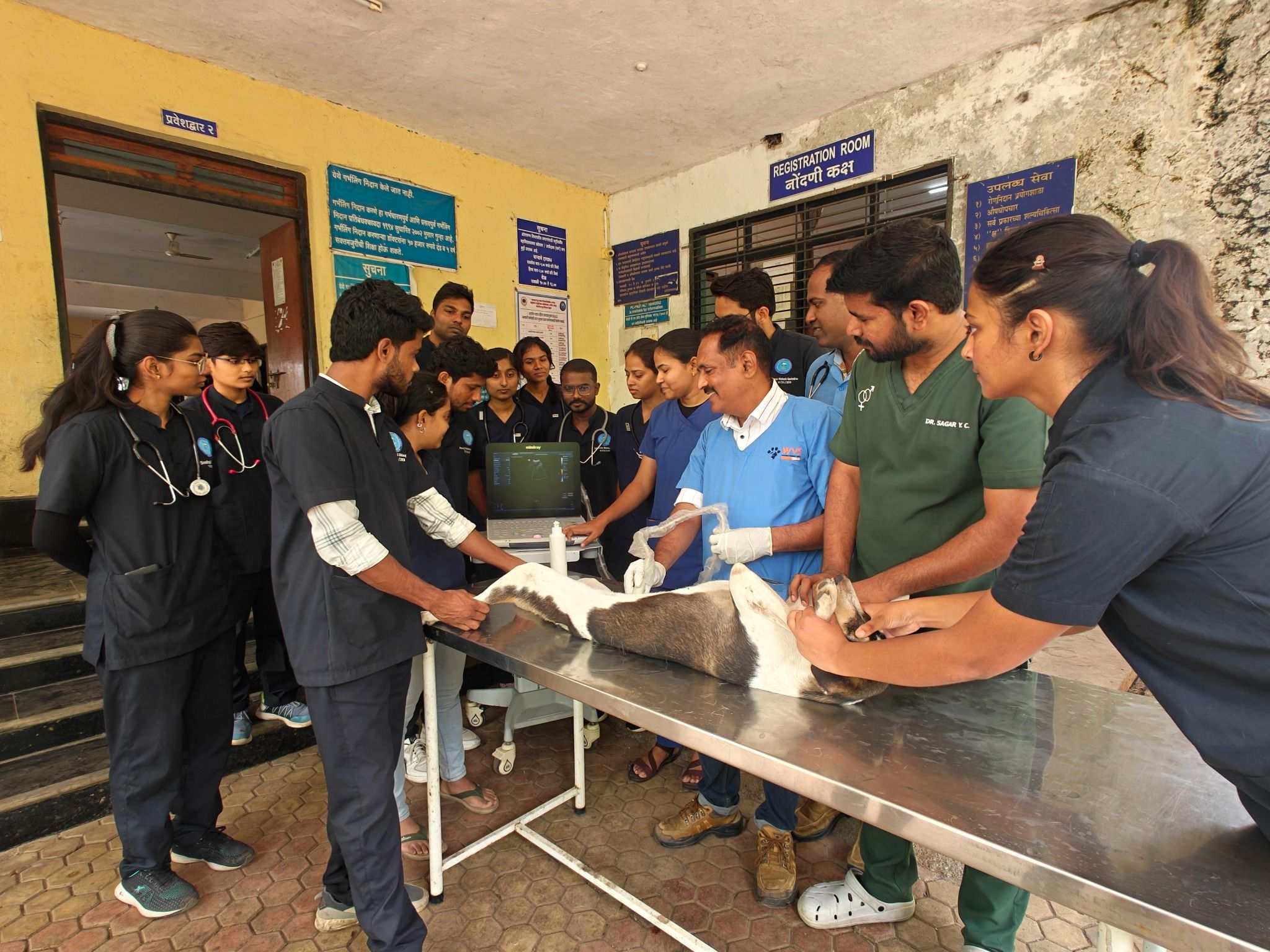 Gynecology Veterinary Clinical Complex Ultrasonography Unit